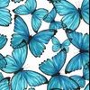 misha_marr